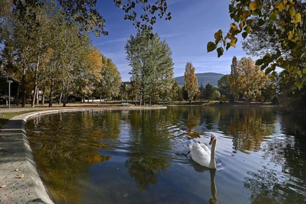 Ideal Parejas - Tranquilidad Y Naturaleza - Vistas Al Lago Osséja Exteriér fotografie